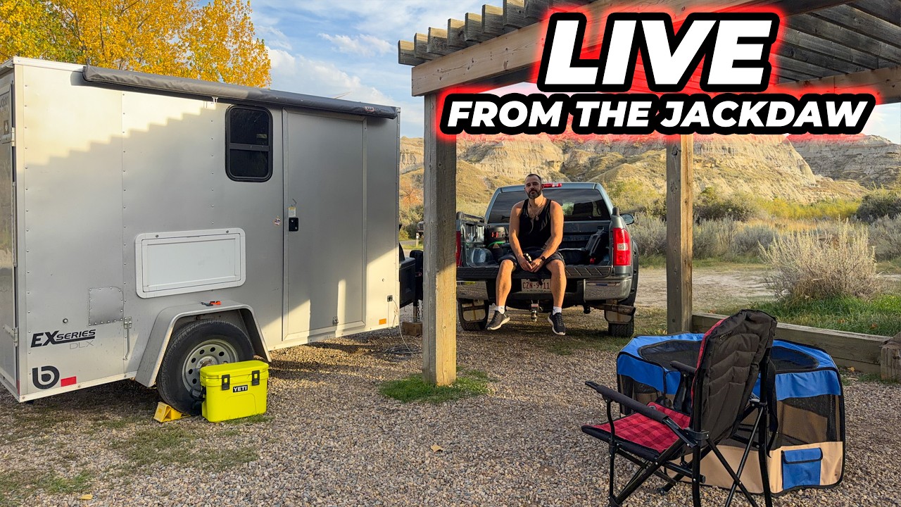 🔴LIVE | TGIF STREAM FROM THE JACKDAW - Q&A Community Hangout