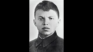 Видео Если Вам не нравится цепь событий, то Вы еще не видели их окончания (с) (автор: Андрей Кочергин)