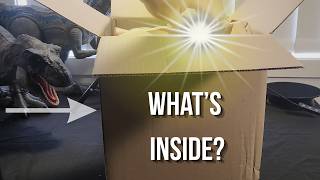 Whats In The Box Shopping 