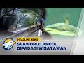 [HEADLINE NEWS 02/05] Seaworld Ancol Padat Pengunjung di Libur Long Weekend May Day