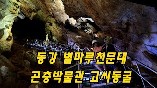 영월동강 별마로 천문대 곤충박물관 고씨동굴 동강오토캠핑장 할배와손주 캠핑여행