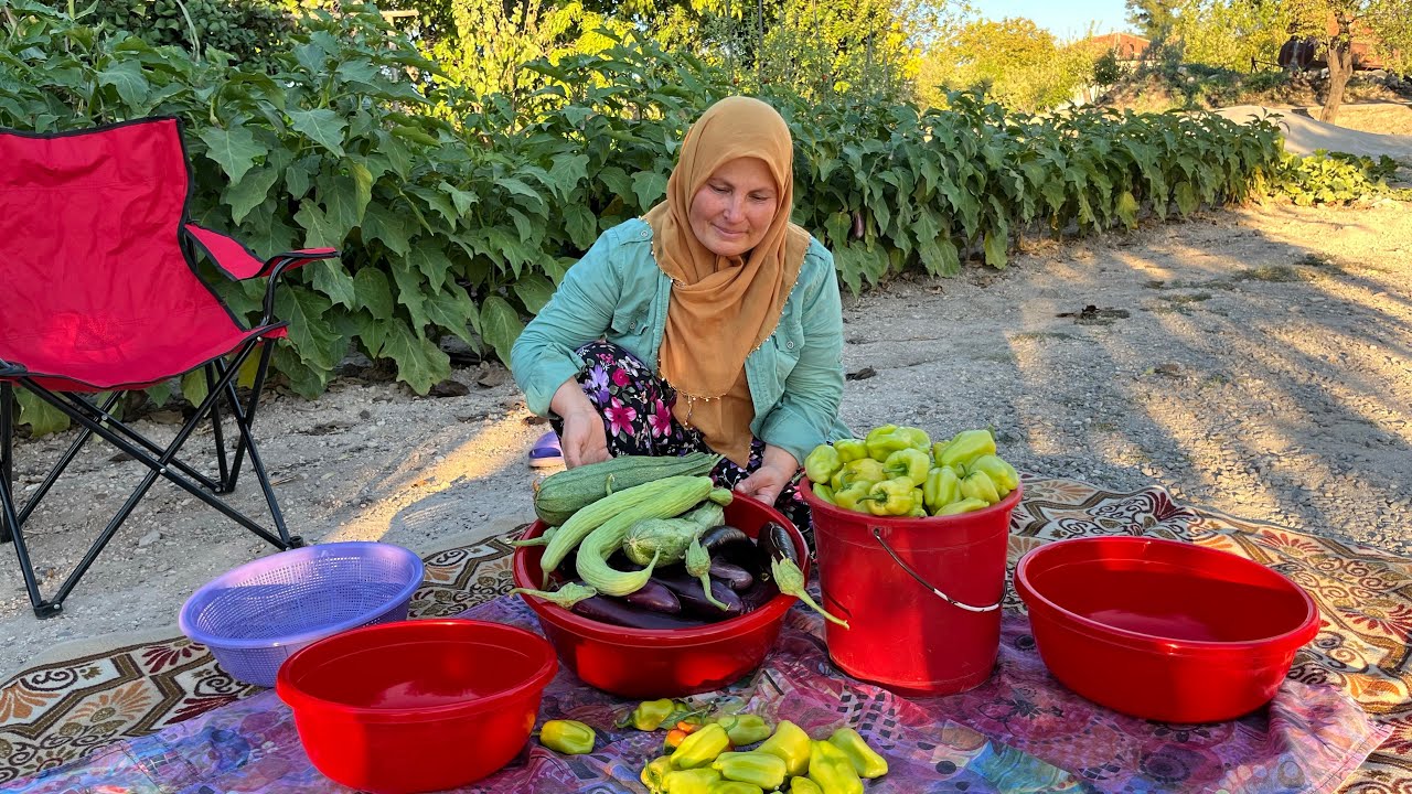 BAHÇEMİN BEREKETİ‼️DİLMELİK PATLICAN ~KABAK~DOLMALIK BİBER KURUTMASI ✅
