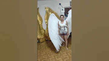 Angel Wings Adult Halloween Costume Accept Orders Angel Halloween Shorts Shortsvideo Angels 