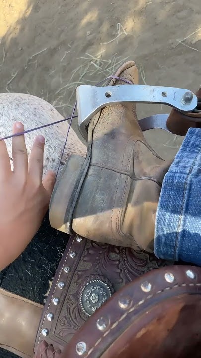 Why Do Barrel Racers Use Rubber Bands rockymountainhorse why-do-barrel-racers-use-rubber-bands-rockymountainhorse