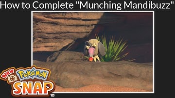 New Pokemon Snap - How to Complete the Request "Munching Mandibuzz"