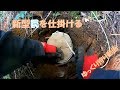 狩猟 新型罠を仕掛ける　ゆっくり狩り動画