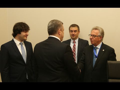 საქართველოს პრემიერ-მინისტრი ვენეციის კომისიის პრეზიდენტს შეხვდა