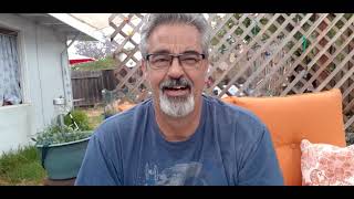Outdoor Organic Cannabis Grow 2022  II Worm Tea and Bee Attack