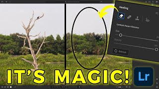 You're Using Lightroom's Content Aware REMOVE TOOL Wrong