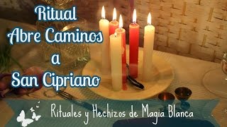 Ritual Abre Caminos a San Cipriano (MAGIA BLANCA)(Este es el poderoso Ritual Abre Caminos a San Cipriano, que te va a ayudar a quitar de tu vida todos esos problemas que te impiden avanzar y conseguir tus ..., 2015-05-15T12:48:40.000Z)