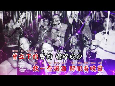 雾里天涯(DJ沈念版) - 花僮【备有清晰版伴奏】