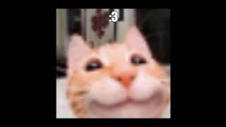 There is a light that never goest out - The Smiths [SpedUp]