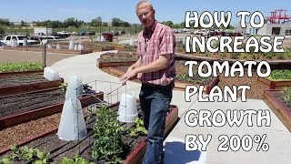 Once your plants outgrow miniature greenhouse you will need to replace
them with a giant from grow it now. using both the mi...
