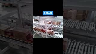 carton box case sorting system
