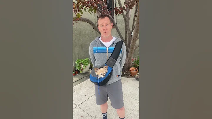 Mark's Aviva Walks 2022