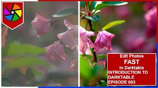 003 - How to Edit Photos FAST in Darktable | Introduction to Darktable screenshot 5