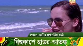 A Beach At Recife Town In Brazil Is Vulnerable To Shark Attack