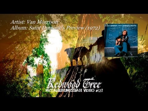 Redwood Tree - Van Morrison (1972)