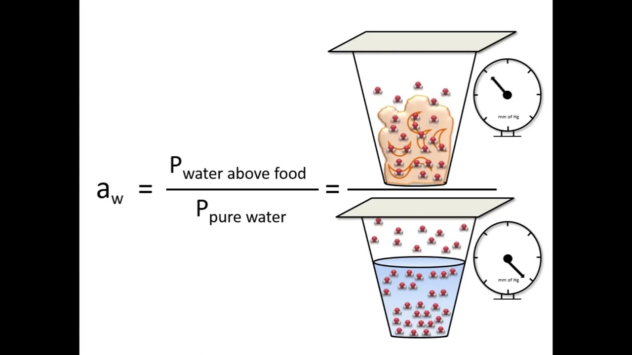 hoạt độ của nước