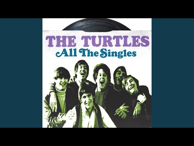 The Turtles - You Don't Have To Walk In The Rain