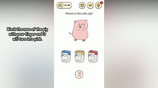 Brain Find Level 46 Where is the ping pig
