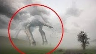 5 MYSTERIOUS CREATURES CAUGHT ON CAMERA AND SPOTTED IN REAL LIFE (MrWolf Reupload)