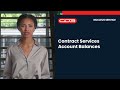 Services Account Balances