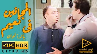 إسماعيل ياسين | المجانين فى نعيم | لأول مرة بالألوان 4K