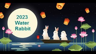 Year of the Water Rabbit Astrology Outlook - Snake