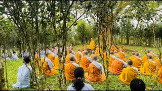 NIKAYA Giảng Giải - Dự Lưu 3 - Làm Sao Phá Thân Kiến 4 ? 5 Hạ Phần Kiết Sử ?