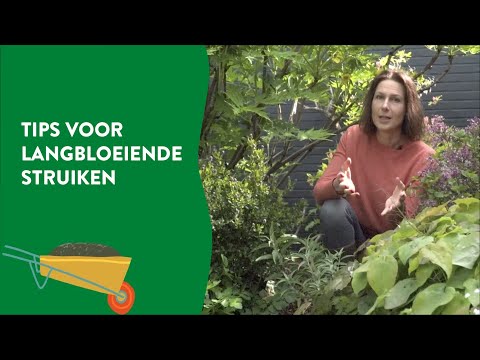 Video: Vraag een expert - Achterblijven