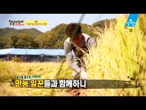 [예고] 통일미를 수확하세! 드디어 찾아온 추수의 날_채널A_잘살아보세 34회