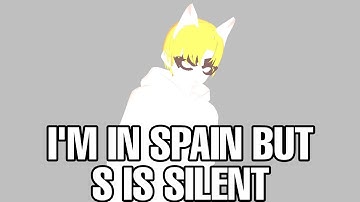 Me after turning my file from vrm to pmx