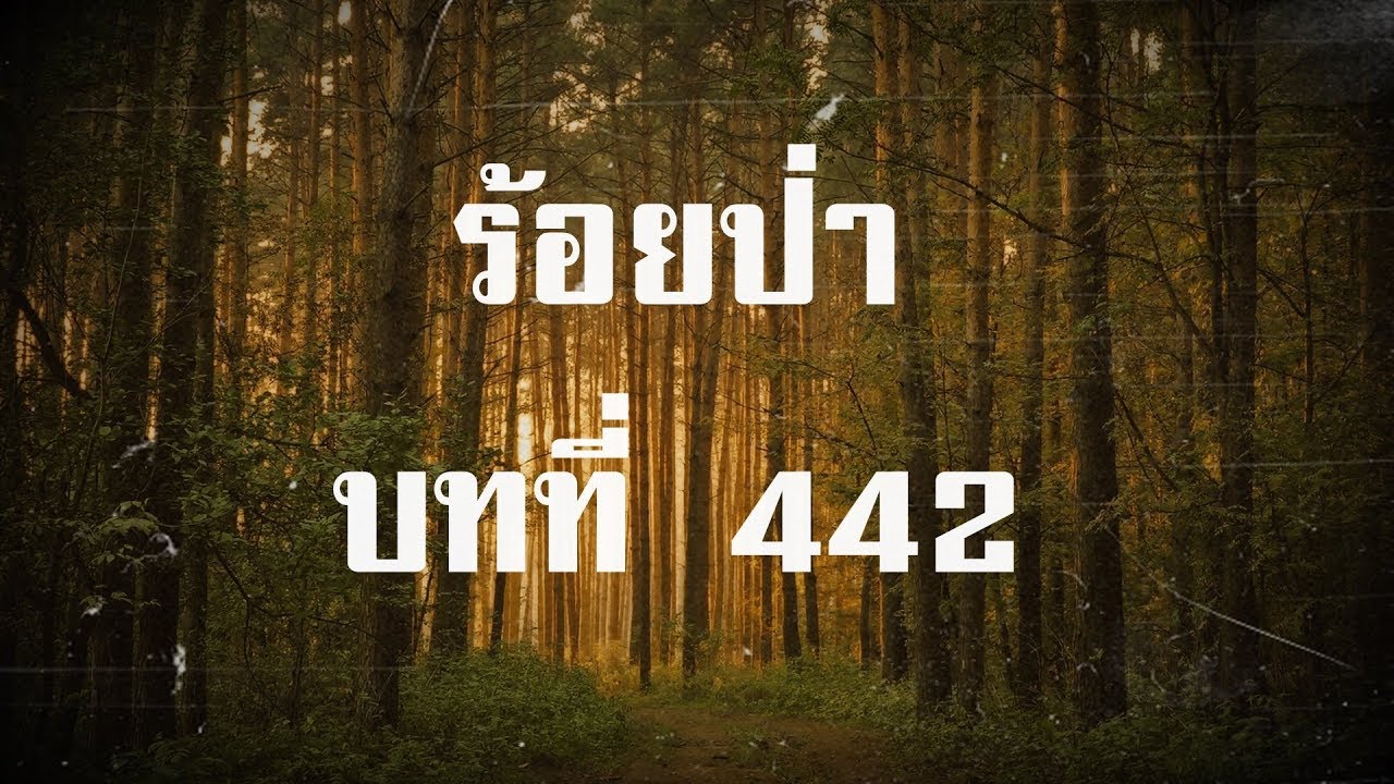 ร้อยป่า บทที่ 442 เหาะกลับกรุงเทพ | สองยาม