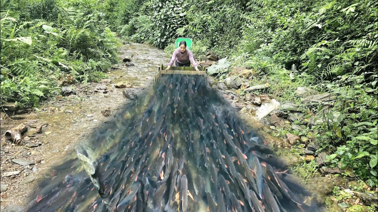 The girl used natural materials like bamboo to make fish traps. - YouTube