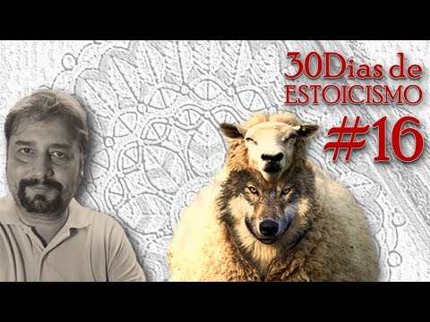 O certo é...bla...bla...bla! [dia 16 estoico] - O certo é...bla...bla...bla! [dia 16 estoico]
