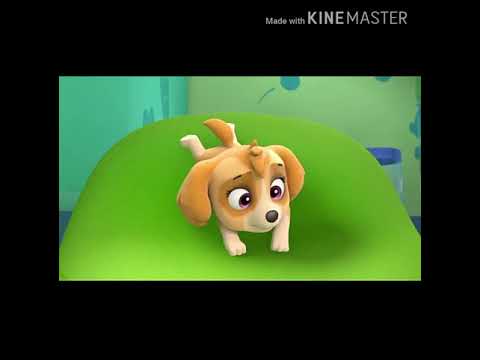 camera iphone 8 plus apk 💕Skuy paw patrol💕девочка война💕