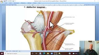 Musculo-skeletal Module ,Anatomy of Lower Limb in Arabic 31 ( Femoral artery , part 1 )