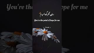 Madaram Jan Madaramblack Screen Lyrics Video Heart Touching Song For Mother Persian Song