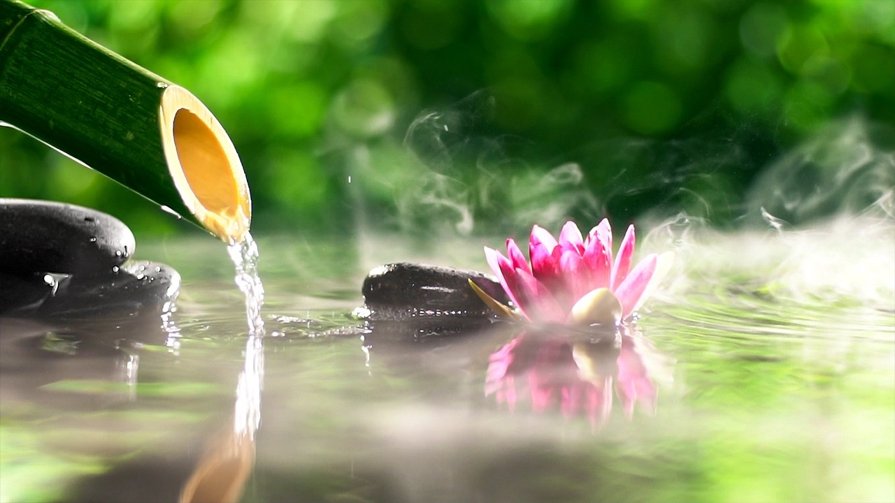 Beautiful Relaxing Music 🌿 Bamboo Water Sounds, Meditation Music Relax Mind Body, Deep Sleep Music