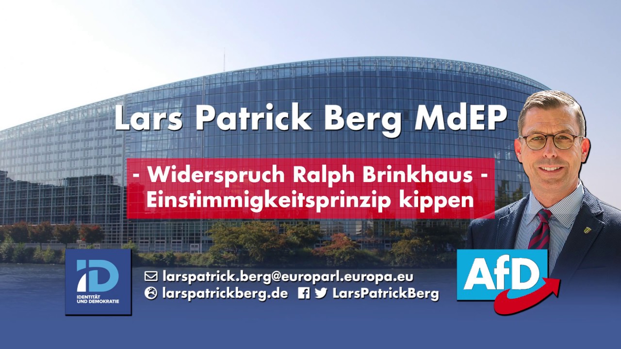 Lars Patrick Berg - Widerspruch Brinkhaus - Einstimmigkeitsprinzip kippen
