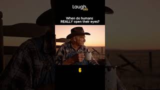 Mr Smith Tells The Truth  funny comedy