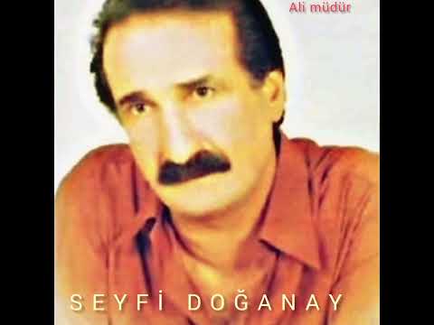 SEYFİ DOĞANAY -
