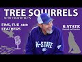 Squirrels are Nuts! | Fins, Fur, and Feathers Episode 38 - Tree Squirrels