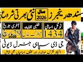 Pak Rangers job 2026 /daily basis job update online apply registration! jobs in Pakistan 