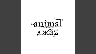 Моя любовь меня - Animal Джаz