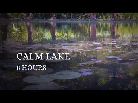 Peaceful Lake Ambience – Natural Water Sounds for Deep Sleep & Relaxation (8 Hours)