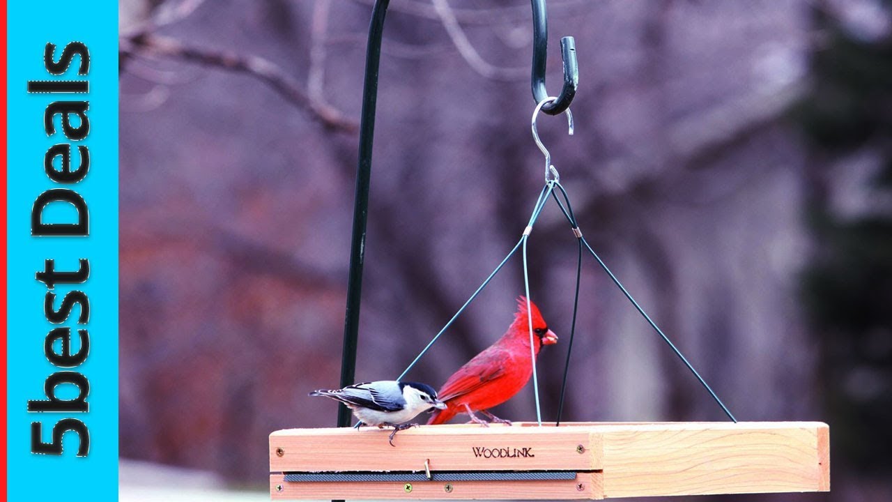 Top 5 Best Bird Feeder Reviews 2020 Youtube