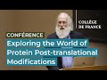 Exploring the world of protein posttranslational modifications 4  hugues de th 20232024