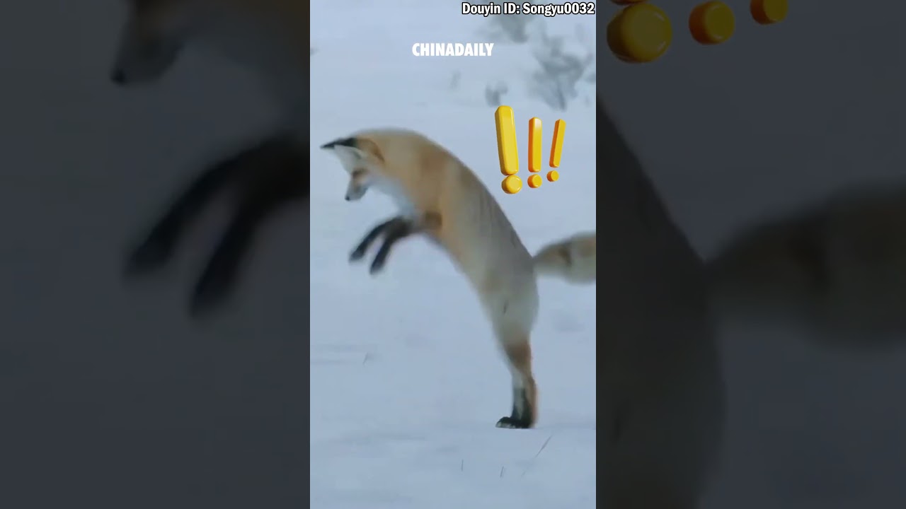 Hunting in a clever way